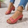 Summer new European and American casual beach sandals women's large size flowers thick Roman high heels