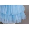 Girls Tulle Beaded Princess Party Dress For Kids