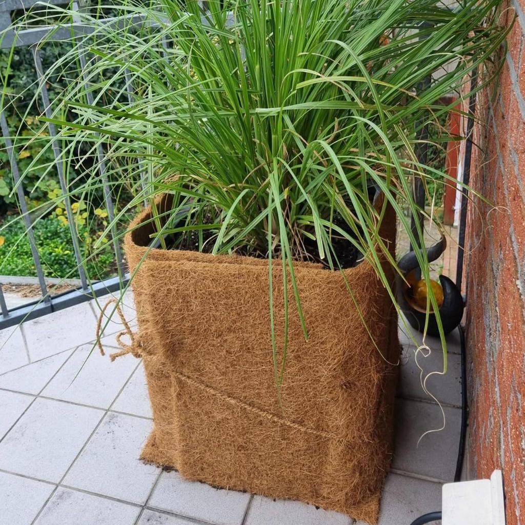Rolo de Fibra Vegetal Tapete Carpete para Répteis Suprimentos de Cama para Répteis Isolamento Cesta de Vaso de Flores Folha Forro de Fibra de Coco Proteger Plantas