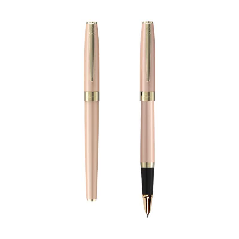 Picasso T717 Extra Fine Fountain Pen Set