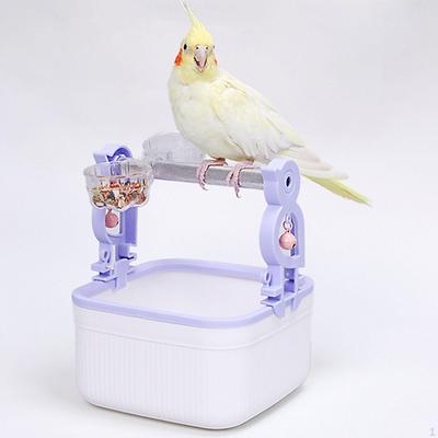Bird Perch Parrot Stand,Feeding Cups Playgrounds Portable Playing Parrots Poop Stand Exercise for