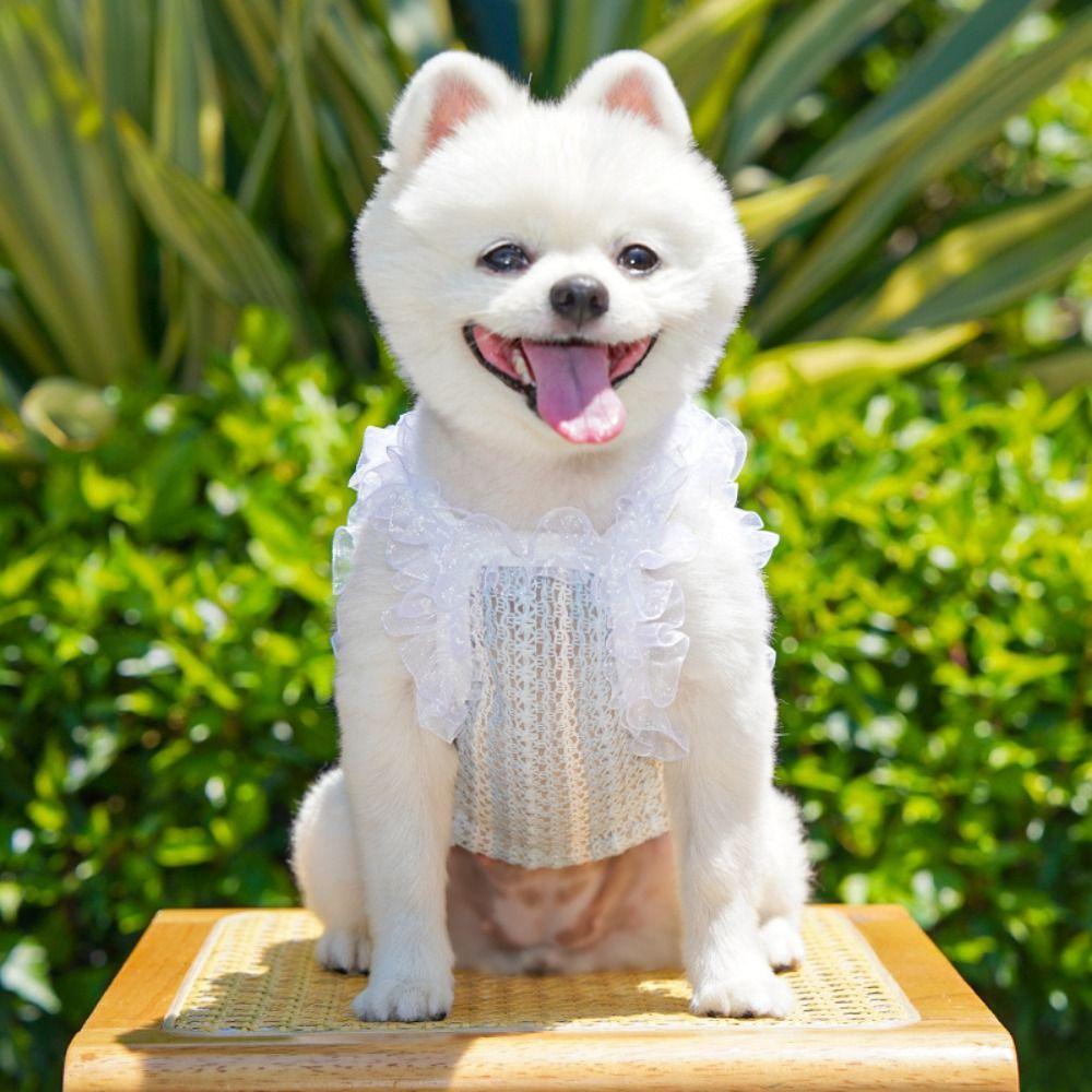 Hollow Cat Dog Vest Lace Bow Pet Princess Dress Cute Pet Shirt  Dog Cat Supplies