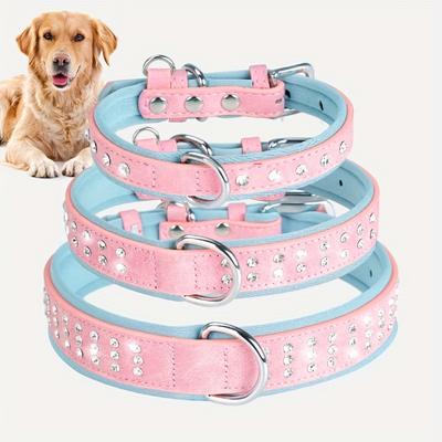 Köpek – Köpek Tasmaları ve Tasma Kayışları