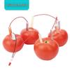 DIY Science Kit: Fruit & Vegetable Battery for Kids with Zinc & Copper Sheets