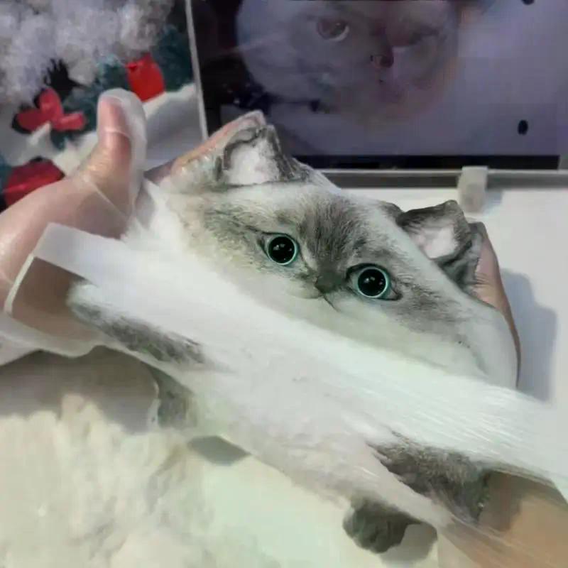 Cute Kawaii Cat Soft Silicone Stress Relief Squeeze Toy Anxiety Relief Desk Gift For Kids Adults Desk Decor Gift