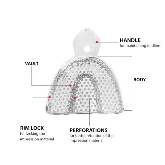 GDC Dentulous Perforated Impression Trays Upper # 3 (ITRLDPU3)