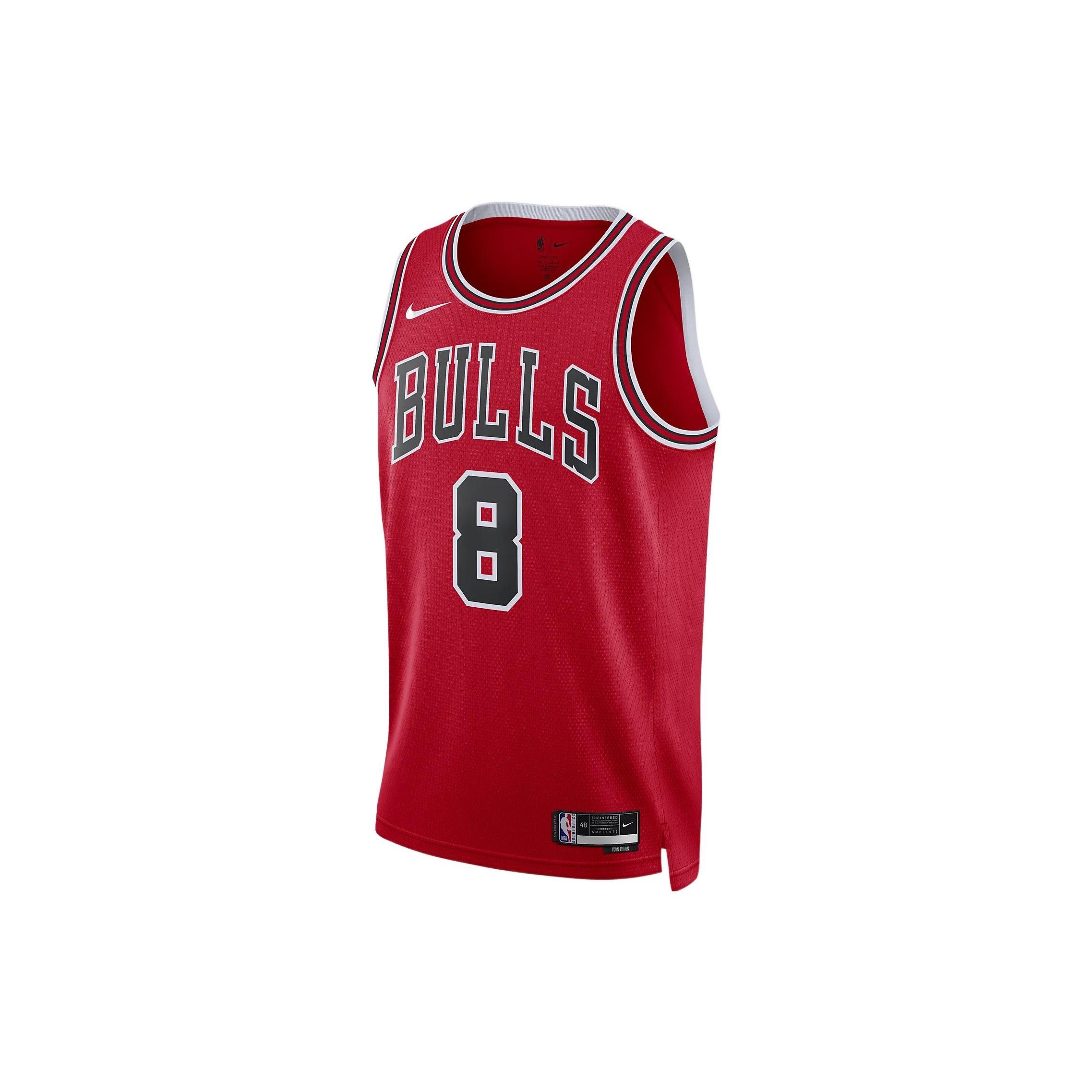 Nike Dri-FIT NBA Chicago Bulls Zach