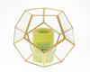 Nordic Geometric Glass Preserved Flower Decor for Home, Coffee Shop, or Wedding