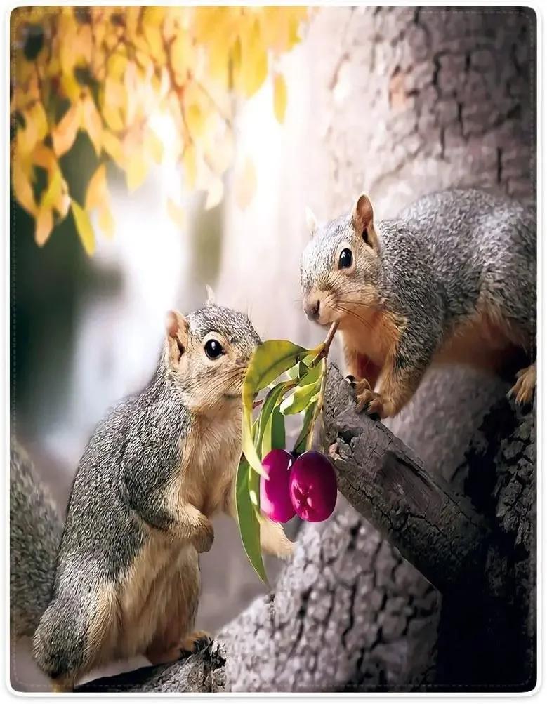 Ultra Soft Blanket Squirrel Throw Blanket Plush Lightweight Couch Sofa Bed Warm Cozy Flannel Blanket for Teens and Adults Gifts