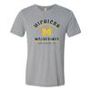 Michigan Wolverines Division Arch Triblend T Shirt - Athletic Grey