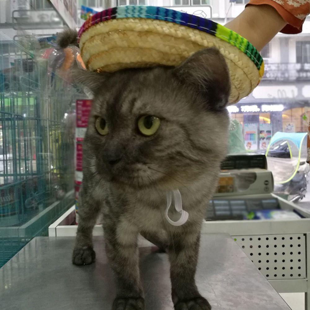 Mini Cute Straw Woven Costume Sun Hat For Dogs And Cats Dog Cap Pet Supplies Pet Hat Dog Headdress