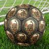 Prehistoric Desert Creature Round Football Size 5 Adult Ball Suitable for Training Matches and Outdoor Team.