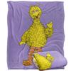 Sesame Street Painted Big Bird Blanket