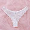 New European & American Sexy Lace See-through Ultra-thin Comfort Bra & Panty Lingerie Set