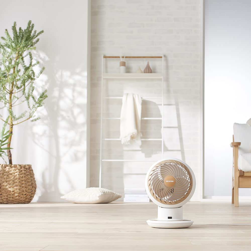 Iris Ohyama Circulator Eye DC JET 15cm KCF-SDCC152T-W White