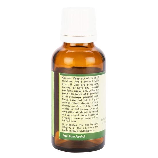 R V Essential Ferula Assa-foetida Pure Asafoetida (Heeng) Essential Oil 5ml