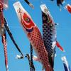 Outdoor Japanese Carp Flag Windsock Fish Flag Kite Home Garden Decoration Wind Socks Colorful Cartoon Hanging Fish Flag
