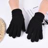 1 Pair Winter Polar Fleece Gloves Men Women Warm Outdoor Cycling Driving Gloves Windproof Non-Slip Soft Thickened Gloves