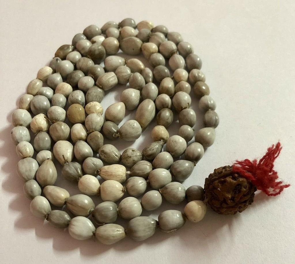 Mala di Semi Vaijayanti, Rosario di Lacrime di Giobbe, Puja di Vishnu