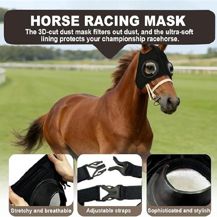 Horse Wind Resistant Eye Mask Tear Resistant Horse Eyewears Protective Eye Shield Block for Training And Shows