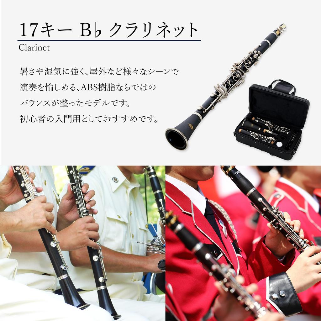 Clarinet 17 ABS Resin Wind Practice Instrument Spare Set, Keys, B, Body, Beginner-Friendly, Instrument, (Includes Reeds)