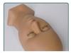 Realistic Silicone Mannequin Head for Eyelash Extension Practice with Removable Eyelids
