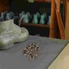 20 Pcs Button Fastener Shoe Boots DIY Buckle Travel Child Shoelace Hook Repair Kit Brass Buttons Hooks with Gasket