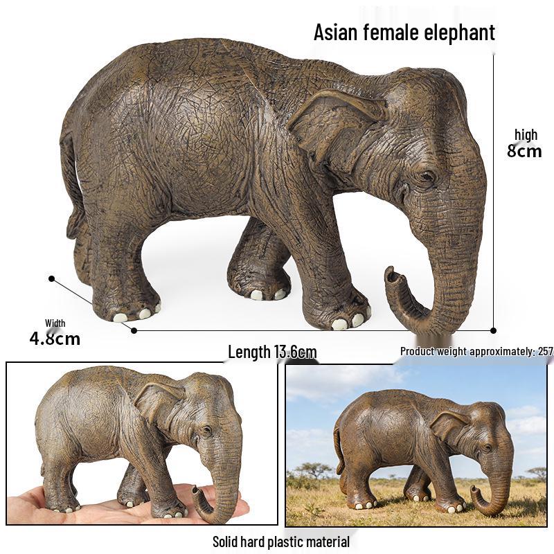 Wildlife Elephant Simulation Toy: African & Asian Elephant Model for Children