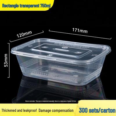 Disposable Plastic Takeout Containers with Lids