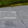 25/50Pcs U-Shaped Garden Pins Garden Stakes Staples, Heavy Duty Yard Lawn Tent Stakes Securing Pegs for Weed, U-shaped Tent