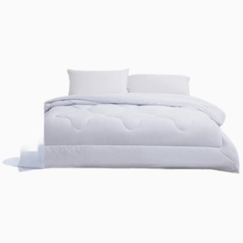 

Mercury Home Antibacterial All-Season Tussah Silk Blend Quilt