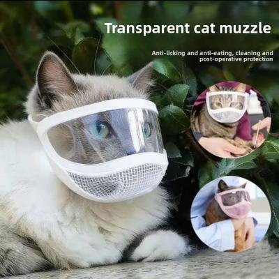 Kedi – Kedi bakım ürünleri