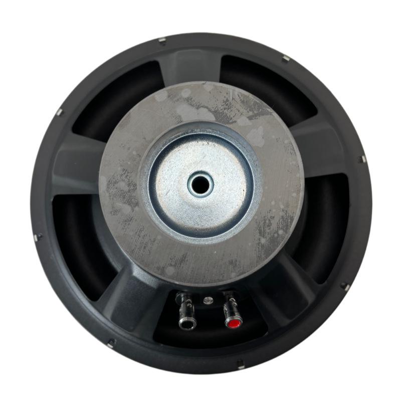 10 Dual 100mm Magnet 100W Audiophile Car Subwoofer Speaker