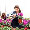 3 PCS Pruning Shears for Gardening Tree Trimming Hand Pruner Manual Garden Secateurs Branch Cutter Stainless Steel