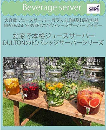 Dalton Ivy Beverage Server, 3L, Display Storage Container, Glass Drink Server, Height 295mm, Width 130mm, Depth 180mm, M411-216 IVY