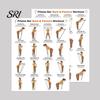 Yoga And Pilates Poster 3Pcs Bar Full Body Workout Set Leg Hip Arm Back Posture Exercise Routine Guide Chart for Home Gym Laminated Fitness Beginners