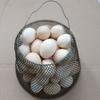 Eierkorb aus Eisendraht, tragbarer Behälter zum Sammeln von Eiern, praktischer Käfig für frische Eier, Bauernhaus