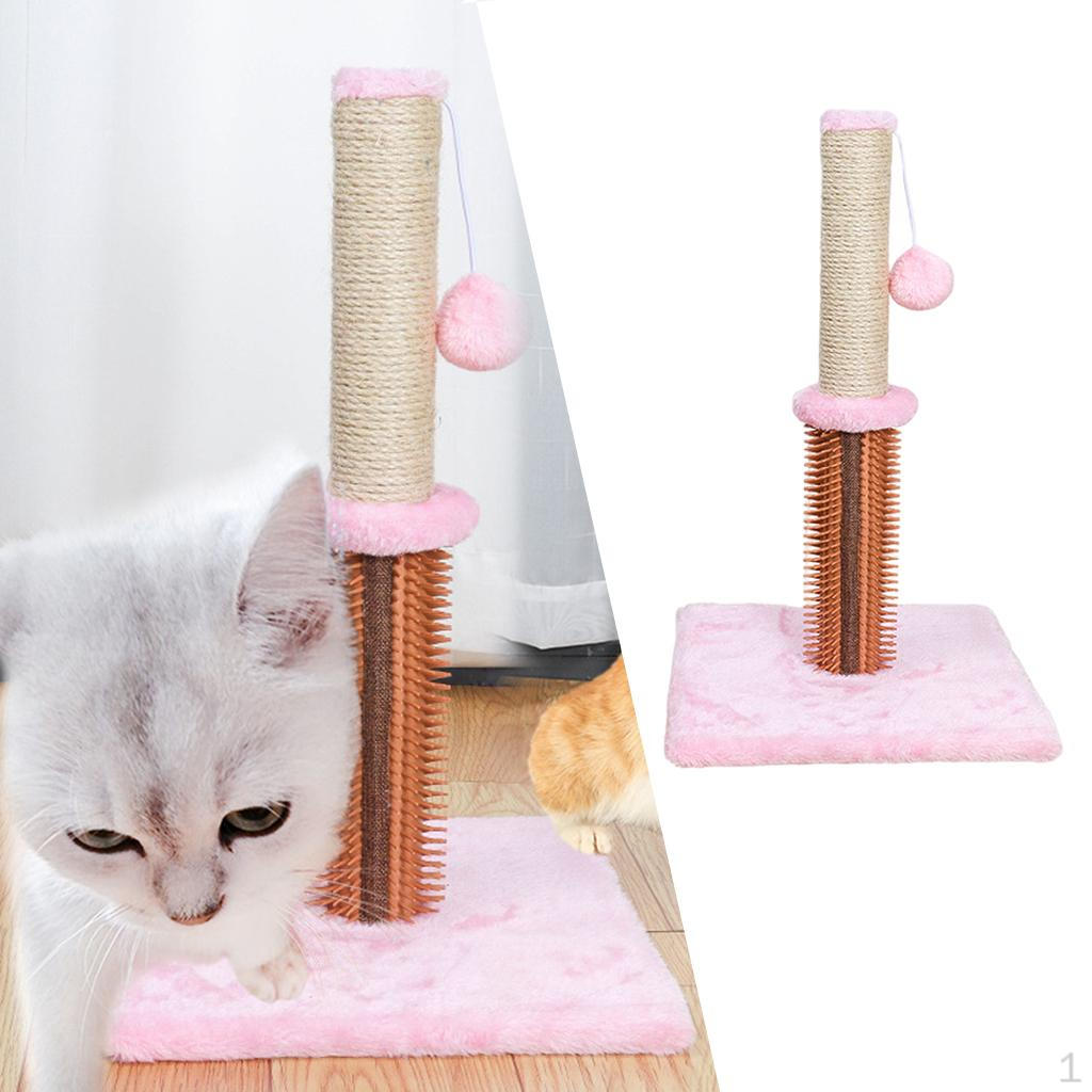 Post Furniture Bed Center Kitten