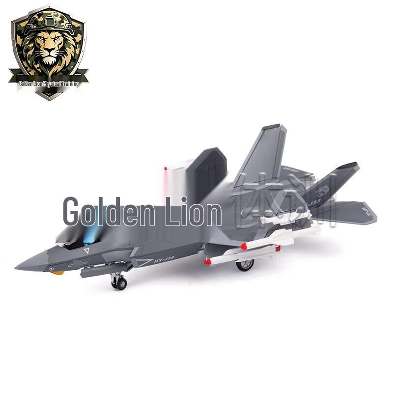 J-35 Fighter Jet Model