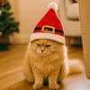 Knitted Pet Christmas Hat Red Pet Costume Pet Show Pet Headwear  Cosplay Party