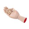1pcs Flexible Movable Fingers Wooden Hand Model Adjustable Joint Right Hand  Sketch Drawing