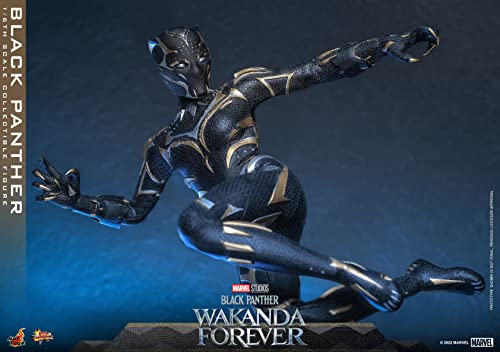 Hot Toys Movie Masterpiece Black Panther/Wakanda Forever 1/6 Scale Figure