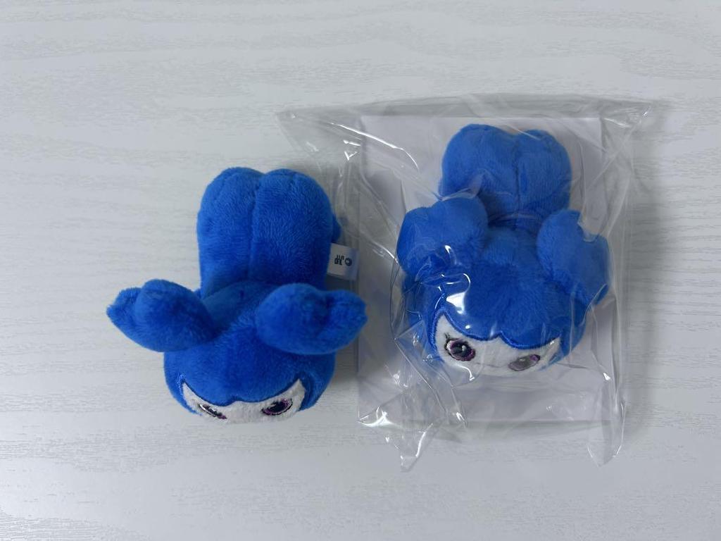 [USED] Tzuyu Tsuburi Hairpin