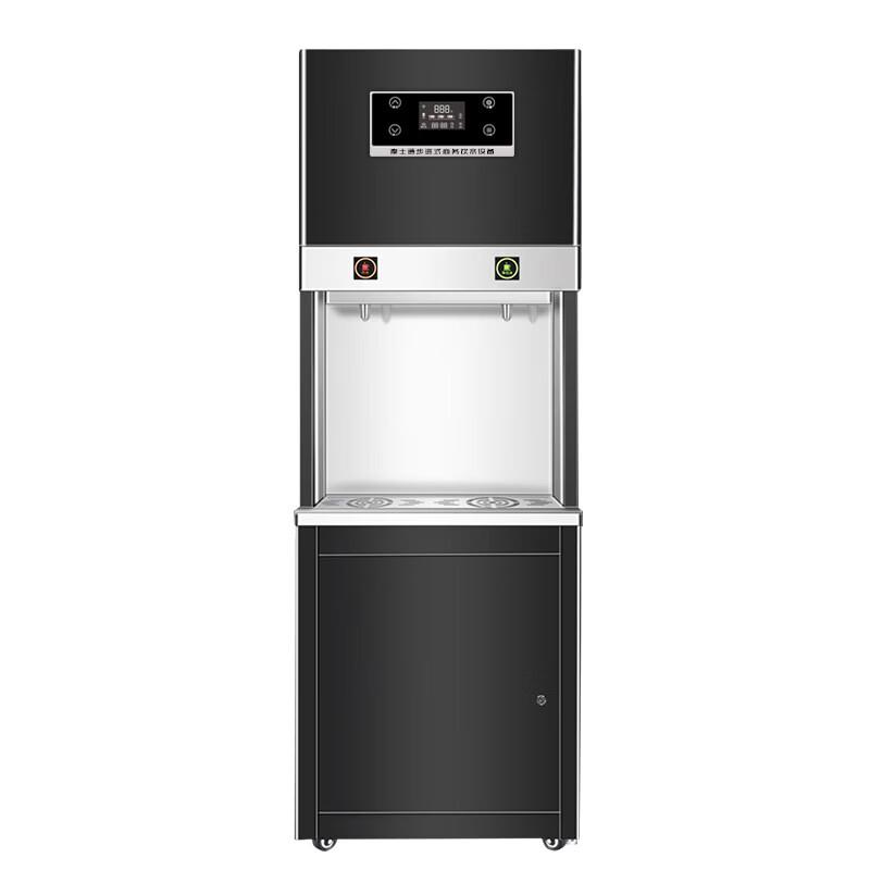LISM Electric Hot Water Dispenser with 5-Stage RO Filter