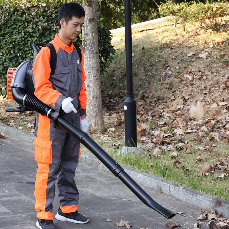 Gasoline Backpack Blower CN plug (adapter included)