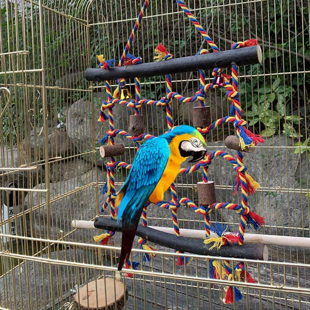 macaw swing
