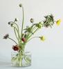 FOYER Small Glass Vase, 15cm High X 15cm Wide, Product Number 2600069