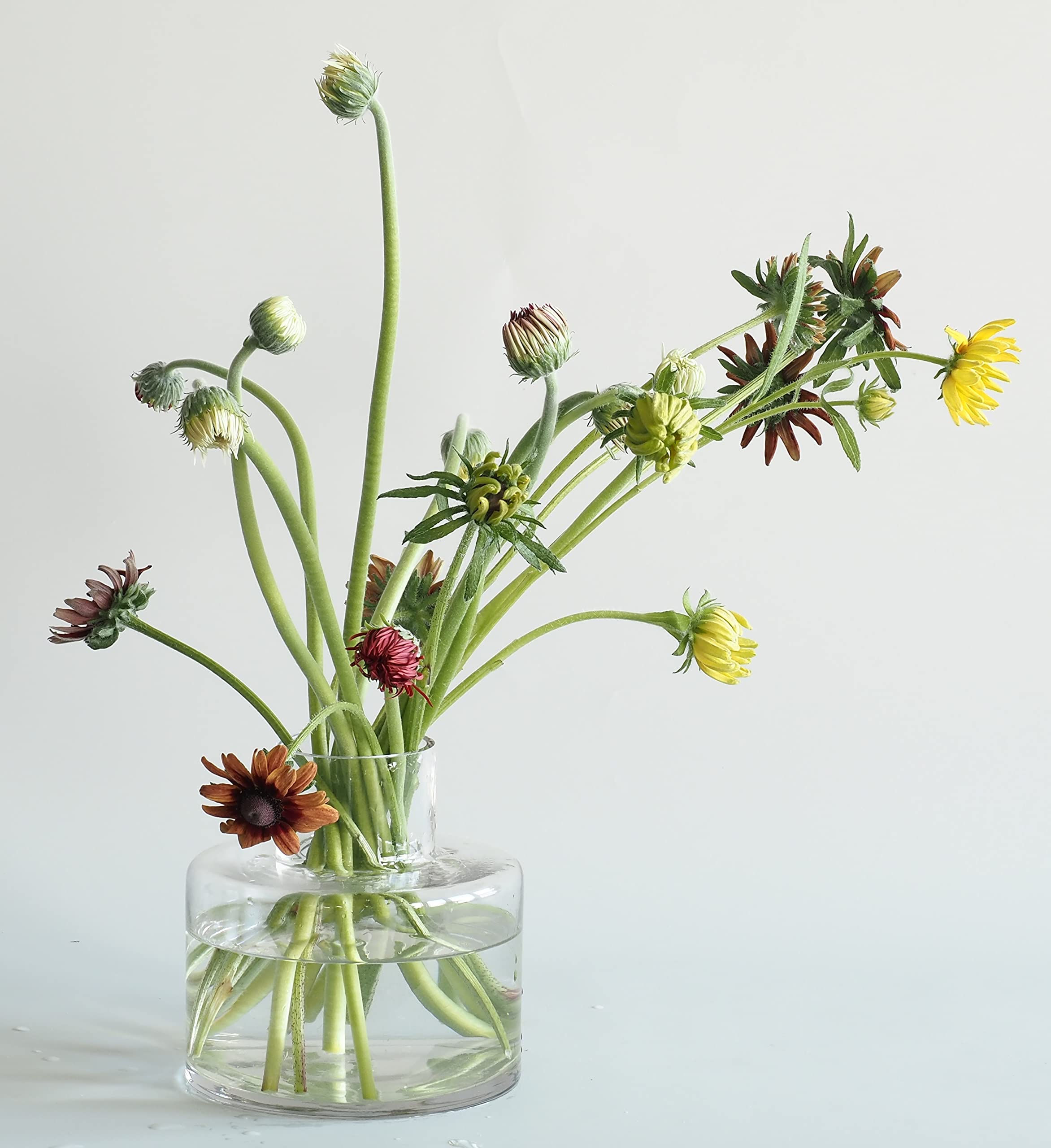 

FOYER Small Glass Vase, 15cm High x 15cm Wide, Product Number 2600069