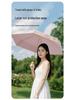 Compact Women's Mini Folding Sun and Rain Umbrella - UV Protection, Dual-Use with Color Glue.