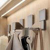 Hanging Wall Hook for Entryway: Coat, Hat, and Shoe Storage